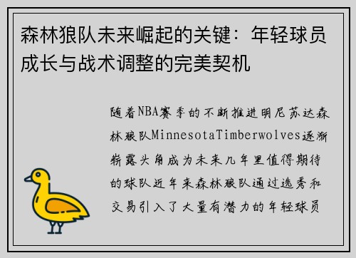 森林狼队未来崛起的关键：年轻球员成长与战术调整的完美契机
